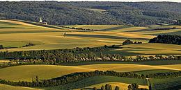 Blick über sanfte Hügel mit Weingärten im Weinviertel, im Vordergrund eine Kellergasse bei sonnigem Wetter