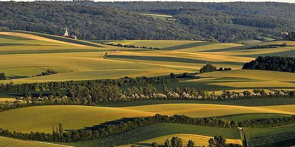 Blick über sanfte Hügel mit Weingärten im Weinviertel, im Vordergrund eine Kellergasse bei sonnigem Wetter