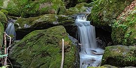 Ysperklamm