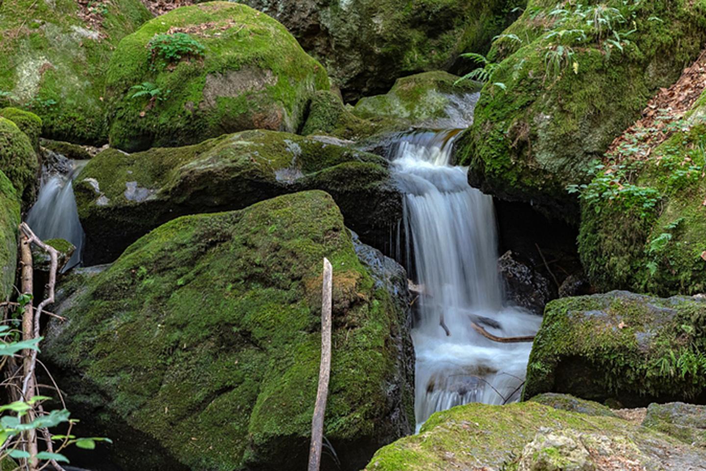 Ysperklamm
