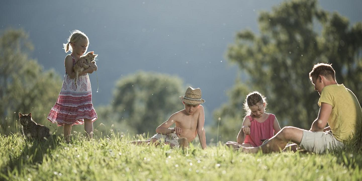 Kinder spielen mit Katzen in der Natur