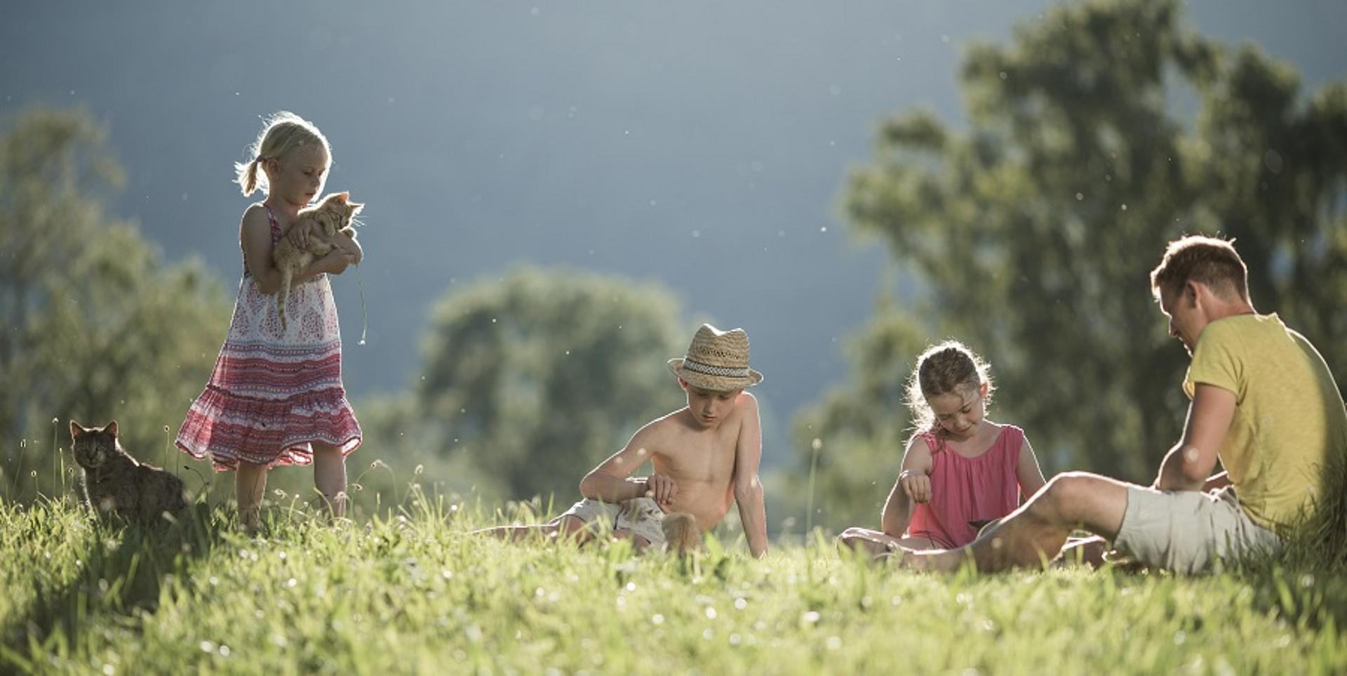 Kinder spielen mit Katzen in der Natur