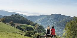 Panoramaaufnahme des Waldviertels mit sanften Hügeln, Wäldern