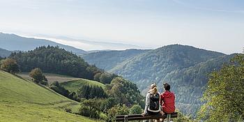 Panoramaaufnahme des Waldviertels mit sanften Hügeln, Wäldern
