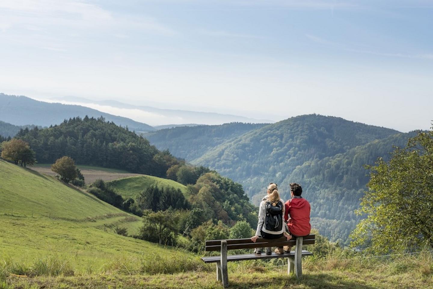 Panoramaaufnahme des Waldviertels mit sanften Hügeln, Wäldern