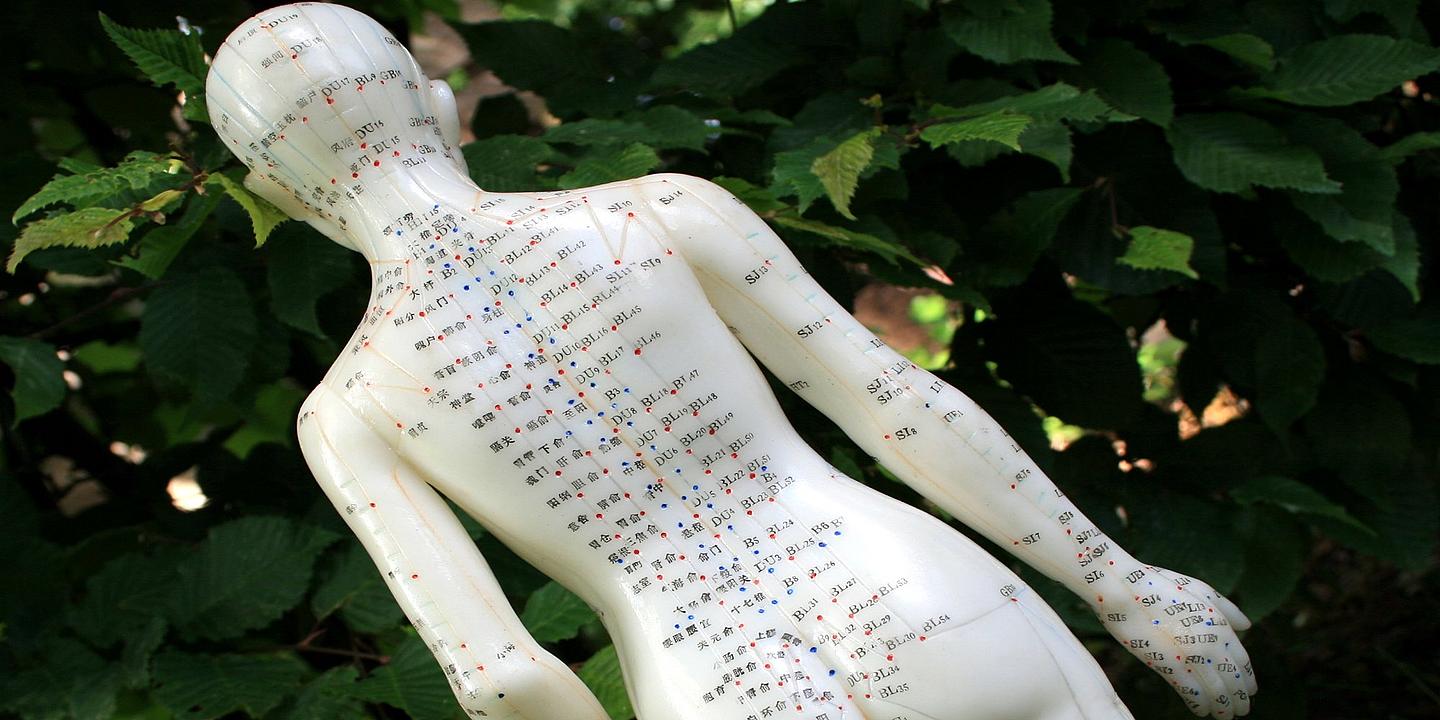 Akupunturpuppe von hinten vor einem Baum