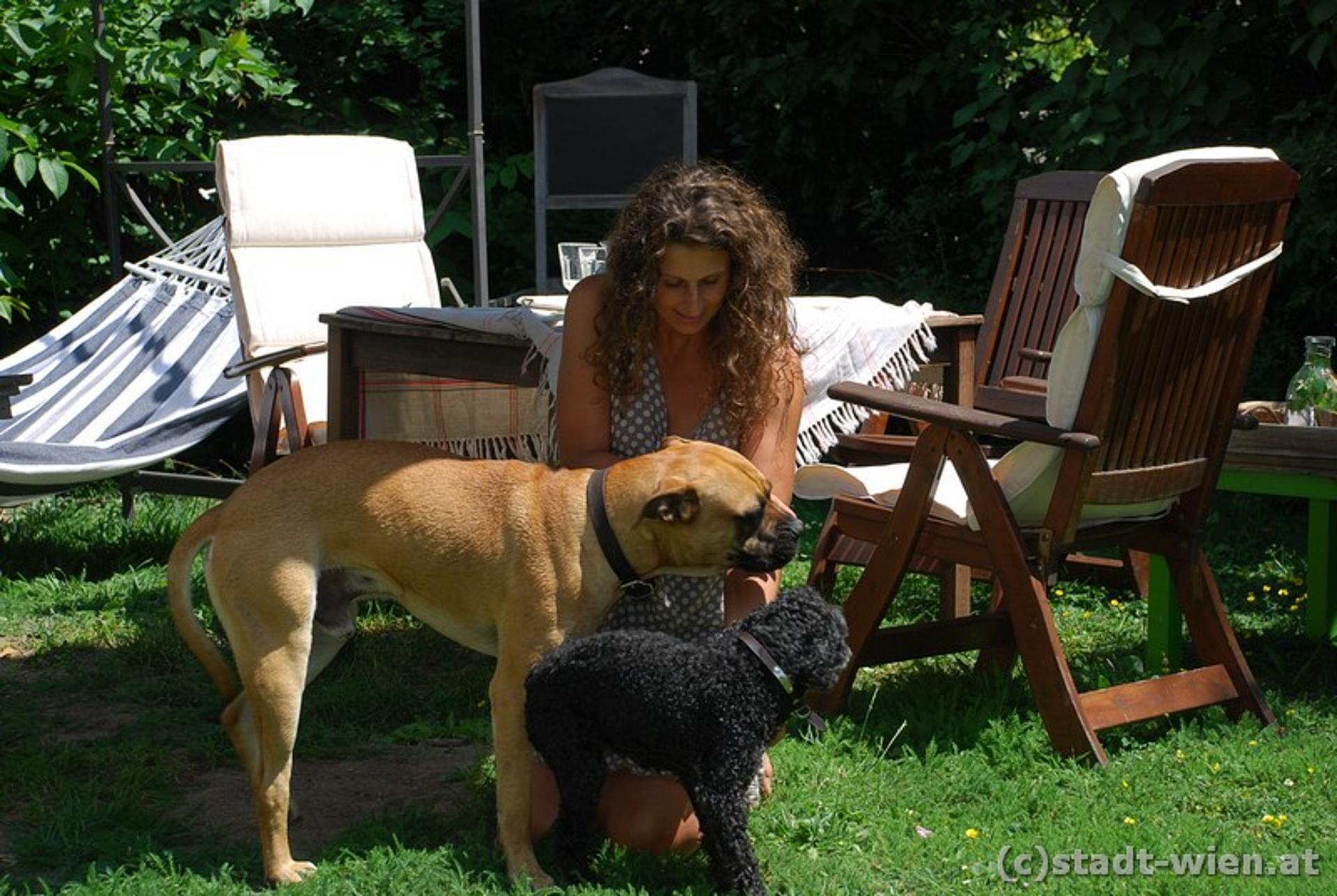 Dana Weinmann mit 2 Hunden