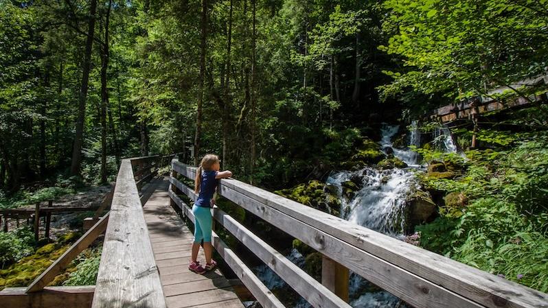 Holzbrücke entlang des Triftbachs im wildromantischen Mendlingtal 