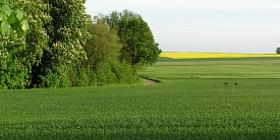 unbeschwerte Natur