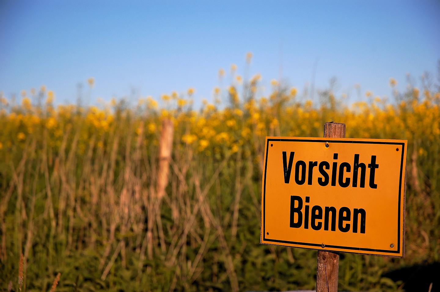Warnhinweisschild in einer Wiese