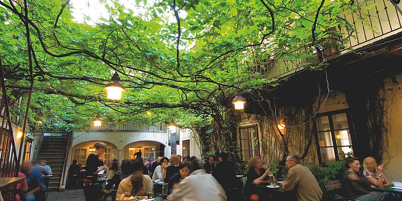 Blätterdach in einem Beisl am Spittelberg Spittelberg: Amerlingbeisl, frühlingshaftes Blätterdach