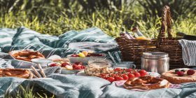 Kleine Speisen und Picknickkorb auf einer Decke im Park.