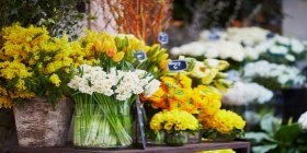 Bunte Schnittblumen in einem Blumengeschäft
