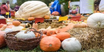 Kürbisse liegen auf einem Strohballen während eines Herbstfests
