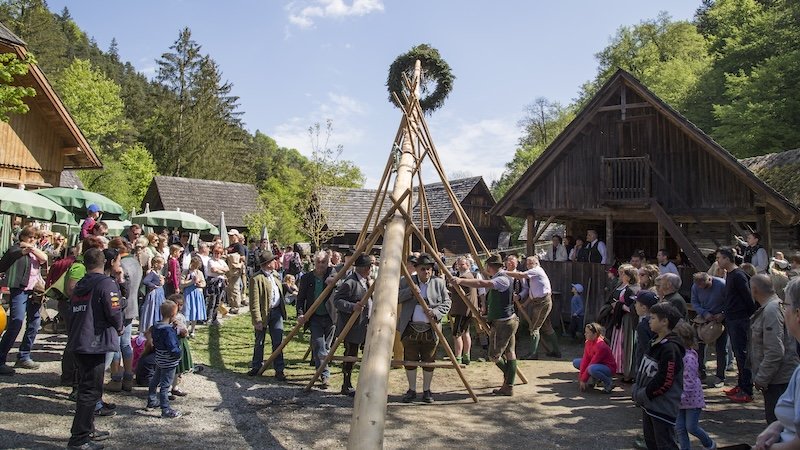 Maibaumaufstellen mit Holzstäben