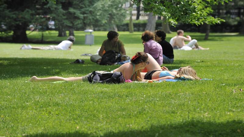 Menschen auf Liegewiese im sommerlichen Wiener Burggarten.