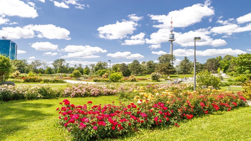 Donaupark mit Blick auf den Donauturm.