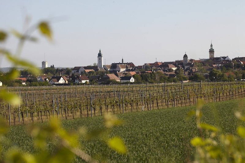 Panoramablick über die Stadt Retz