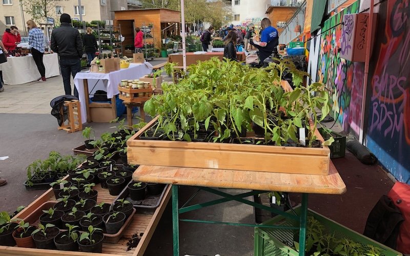 Frühlingsfest am Schwendermarkt mit Pflanzenmarkt.