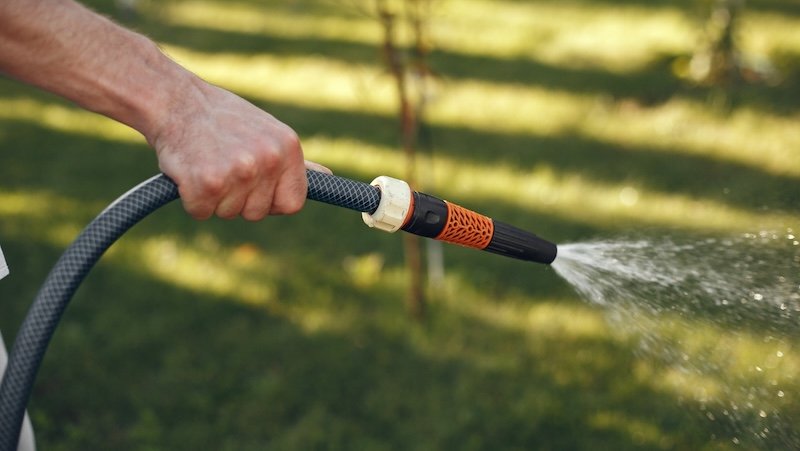 Männliche Hand hält Gartenschlauch und bewässert den Rasen. 