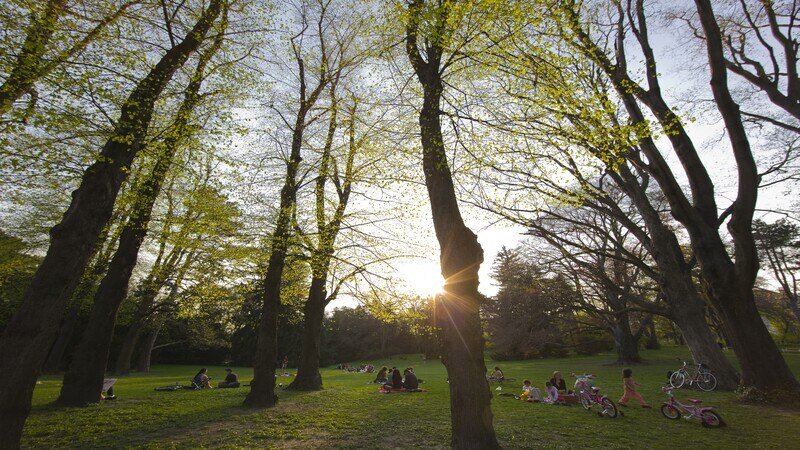 Park bei Sonnenuntergang in Wien.