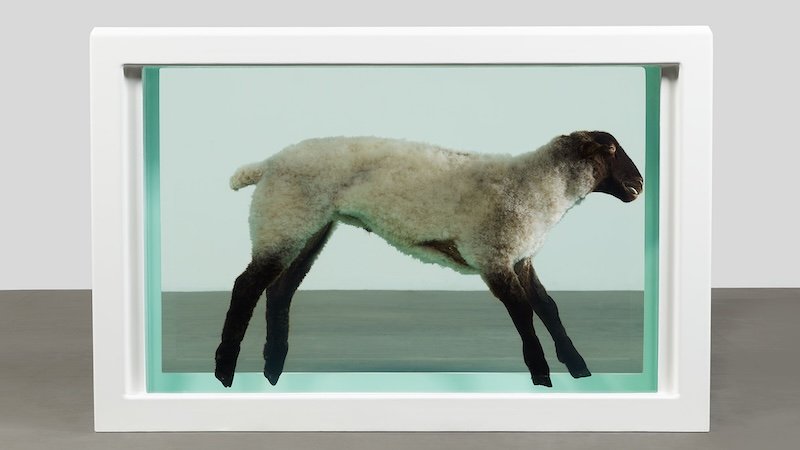Damien Hirsts Werk Away from the Flock