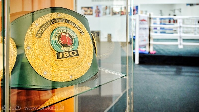 Boxchampion Gürtel