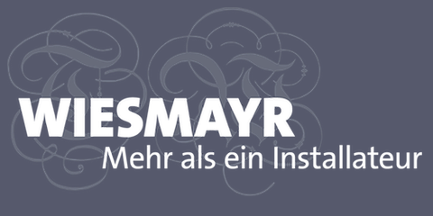 Thomas Wiesmayr - Logo
