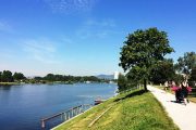Die „Strombucht“- neue Liegewiese an der Strombucht an der Alten Donau